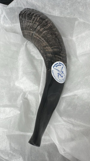 A dark, curved shofar (ram's horn) with visible ridges lies on a crumpled white fabric surface. A round white sticker with a blue border is affixed to its side, clearly displaying an illustration of a sheep's head and the text "Jacob Sheep Shofar".
