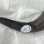 A dark, curved shofar (ram's horn) with visible ridges lies on a crumpled white fabric surface. A round white sticker with a blue border is affixed to its side, clearly displaying an illustration of a sheep's head and the text "Jacob Sheep Shofar".