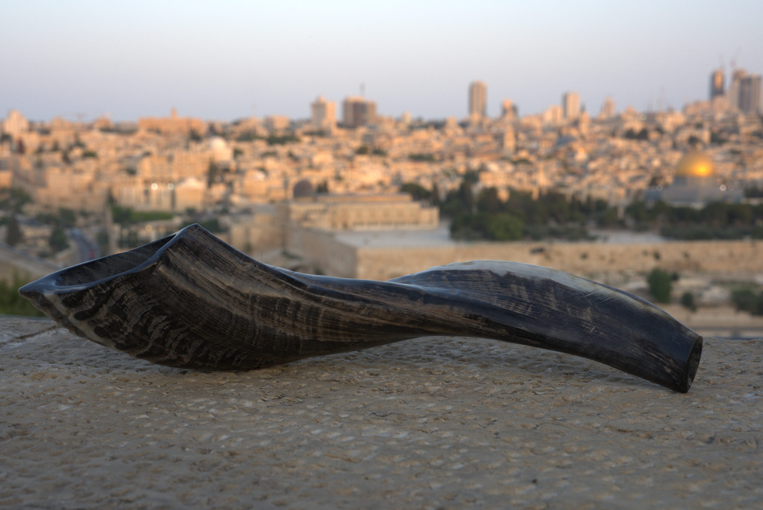 A dark, highly curved shofar with prominent horizontal ridges and a slight sheen rests on a light-colored, textured stone surface. The shofar