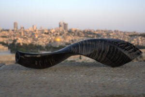 A dark, highly curved shofar with fine, horizontal striations along its body rests on a light-colored, granular stone surface. The shofar's wide opening, appearing round and dark, is visible on the left. In the blurred background, the iconic Jerusalem skyline, including the golden Dome of the Rock, is silhouetted against a pale, evening sky.