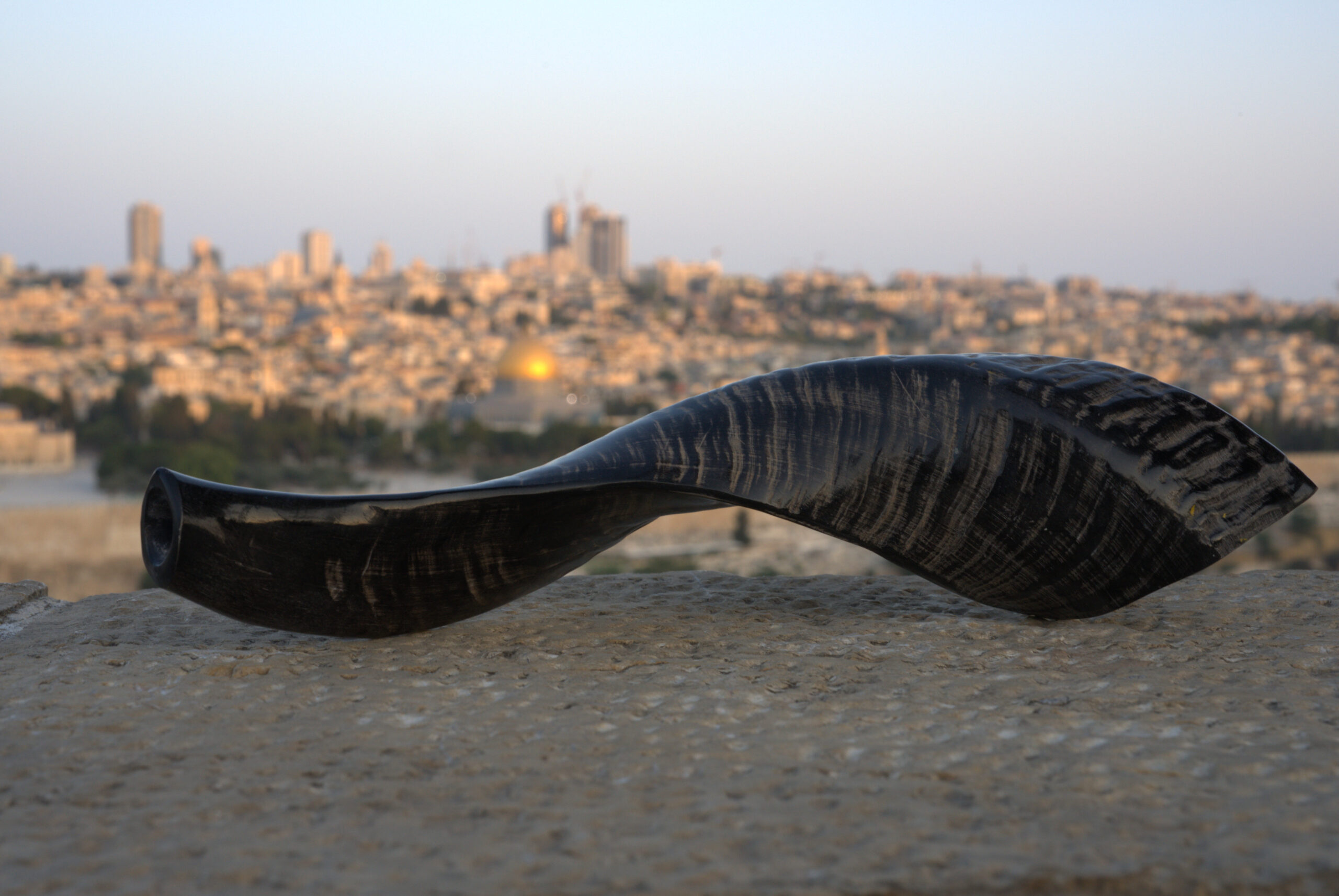 A dark, highly curved shofar with fine, horizontal striations along its body rests on a light-colored, granular stone surface. The shofar