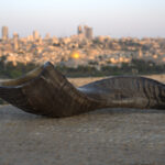 A dark, polished shofar with textured ridges is positioned horizontally on a light-colored, granular stone surface in the foreground. Its wider, opening end is to the left. In the softly blurred background, the cityscape of Jerusalem unfolds under a pale, twilight sky, with the golden dome of the Dome of the Rock distinct in the mid-ground among clusters of buildings.