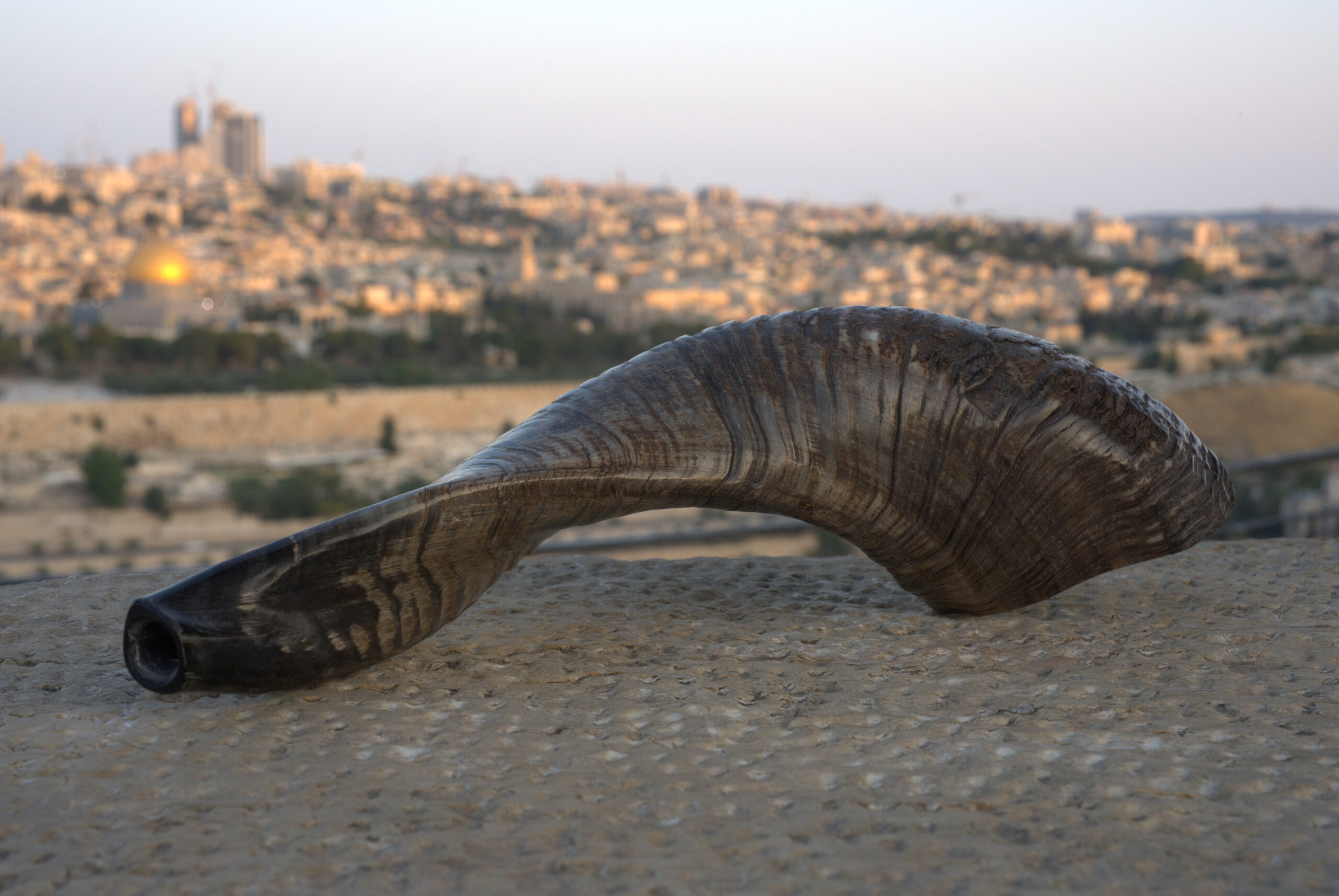 A dark, textured shofar with prominent horizontal ridges rests on a light-colored, pebbled stone surface in the foreground. The shofar