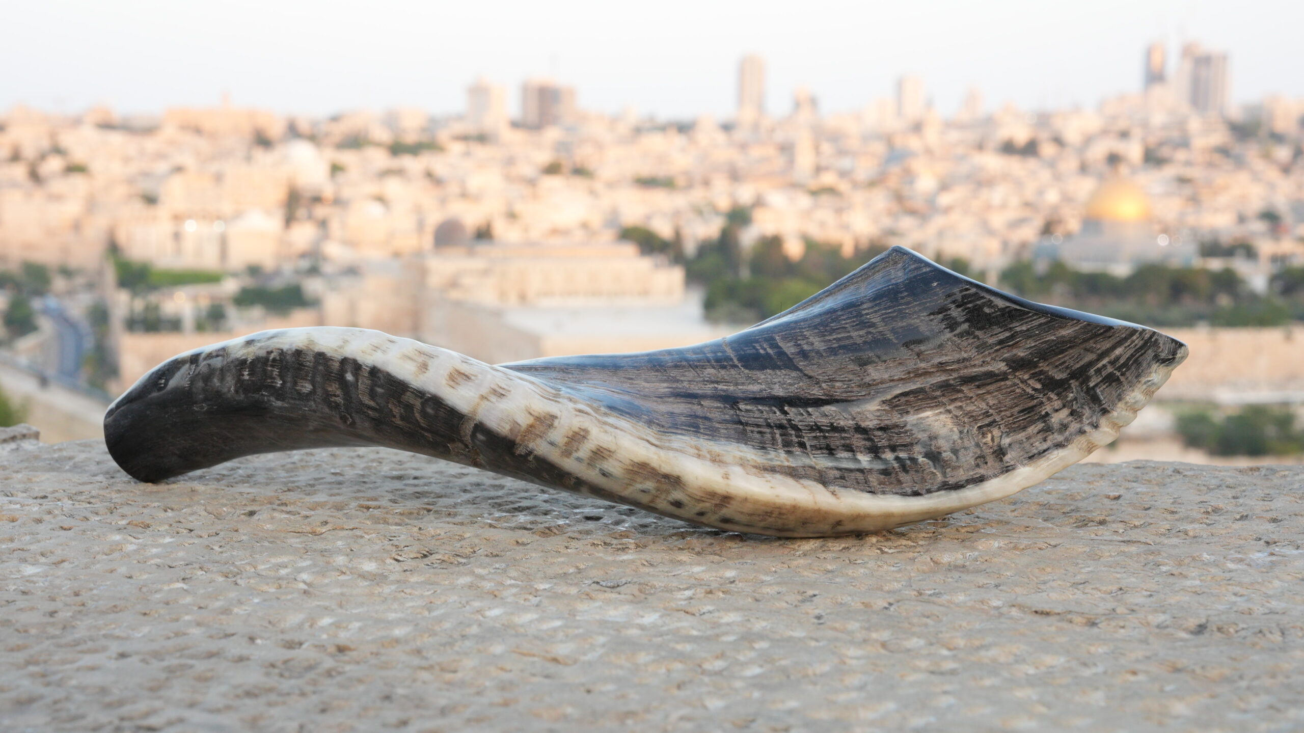 A long, gracefully curved shofar with distinct bands of dark grey, black, and pale ivory colors rests on a textured concrete surface in the foreground. The shofar