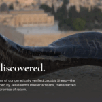 Jacob’s Sheep Heritage Shofar - Image 2